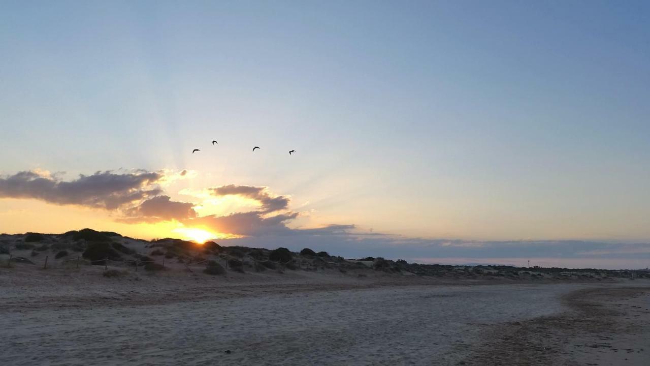 Urbanizacion Puerto Romano - Playa La Mata  Zewnętrze zdjęcie